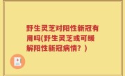 野生灵芝对阳性新冠有用吗(野生灵芝或可缓解阳性新冠病情？)