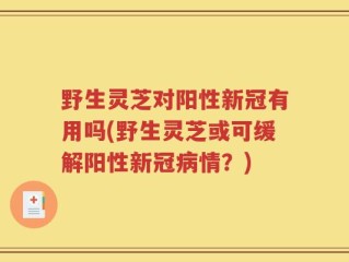 野生灵芝对阳性新冠有用吗(野生灵芝或可缓解阳性新冠病情？)