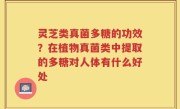 灵芝类真菌多糖的功效？在植物真菌类中提取的多糖对人体有什么好处