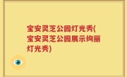 宝安灵芝公园灯光秀(宝安灵芝公园展示绚丽灯光秀)