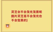 灵芝会不会发光发黑呢图片灵芝是不会发光也不会变黑的)