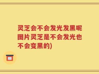 灵芝会不会发光发黑呢图片灵芝是不会发光也不会变黑的)