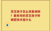 灵芝孢子怎么采集视频？最有效的灵芝孢子粉破壁技术是什么