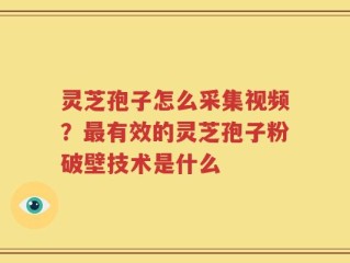 灵芝孢子怎么采集视频？最有效的灵芝孢子粉破壁技术是什么