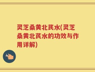 灵芝桑黄北芪水(灵芝桑黄北芪水的功效与作用详解)
