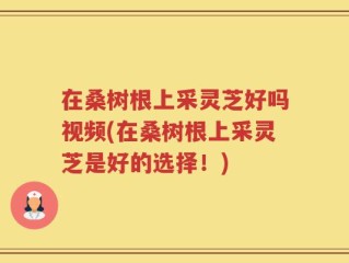 在桑树根上采灵芝好吗视频(在桑树根上采灵芝是好的选择！)