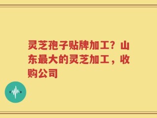 灵芝孢子贴牌加工？山东最大的灵芝加工，收购公司