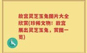 故宫灵芝玉兔图片大全欣赏(珍稀文物！故宫展出灵芝玉兔，赏图一览)