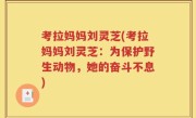 考拉妈妈刘灵芝(考拉妈妈刘灵芝：为保护野生动物，她的奋斗不息)