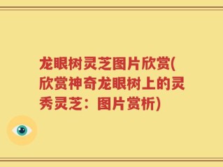 龙眼树灵芝图片欣赏(欣赏神奇龙眼树上的灵秀灵芝：图片赏析)