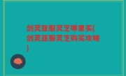 剑灵亚服灵芝哪里买(剑灵亚服灵芝购买攻略)