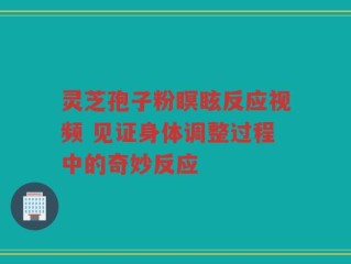 灵芝孢子粉瞑眩反应视频 见证身体调整过程中的奇妙反应