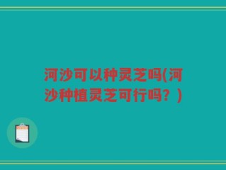 河沙可以种灵芝吗(河沙种植灵芝可行吗？)