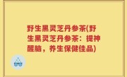 野生黑灵芝丹参茶(野生黑灵芝丹参茶：提神醒脑，养生保健佳品)