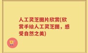 人工灵芝图片欣赏(欣赏手绘人工灵芝图，感受自然之美)