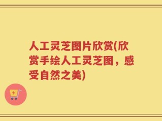 人工灵芝图片欣赏(欣赏手绘人工灵芝图，感受自然之美)