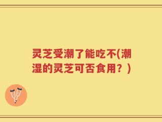 灵芝受潮了能吃不(潮湿的灵芝可否食用？)