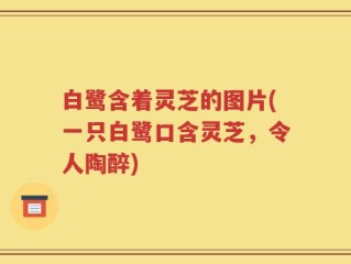 白鹭含着灵芝的图片(一只白鹭口含灵芝，令人陶醉)