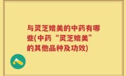 与灵芝媲美的中药有哪些(中药“灵芝媲美”的其他品种及功效)