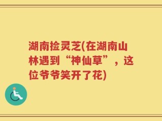 湖南捡灵芝(在湖南山林遇到“神仙草”，这位爷爷笑开了花)