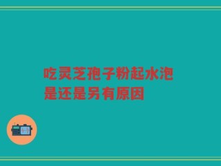 吃灵芝孢子粉起水泡 是还是另有原因