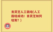 青灵芝人工栽培(人工栽培成功！青灵芝如何培育？)