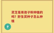 灵芝是用孢子粉种植的吗？野生灵种子怎么种植