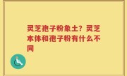 灵芝孢子粉象土？灵芝本体和孢子粉有什么不同