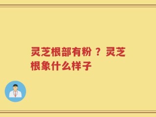 灵芝根部有粉 ？灵芝根象什么样子