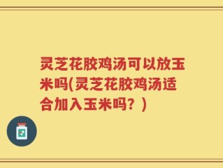 灵芝花胶鸡汤可以放玉米吗(灵芝花胶鸡汤适合加入玉米吗？)