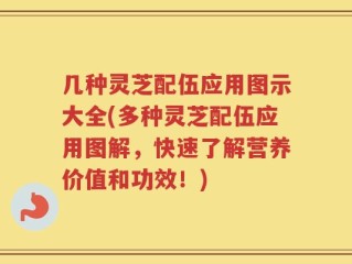 几种灵芝配伍应用图示大全(多种灵芝配伍应用图解，快速了解营养价值和功效！)