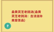 桑黄灵芝老鸽汤(桑黄灵芝老鸽汤：古法滋补美容圣品)