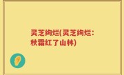 灵芝绚烂(灵芝绚烂：秋霜红了山林)