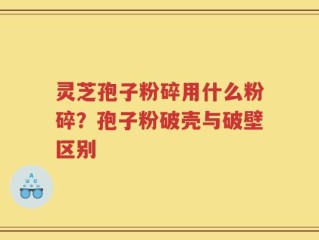 灵芝孢子粉碎用什么粉碎？孢子粉破壳与破壁区别
