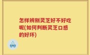 怎样辨别灵芝好不好吃呢(如何判断灵芝口感的好坏)