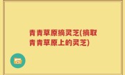 青青草原摘灵芝(摘取青青草原上的灵芝)
