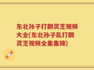 东北孙子打翻灵芝视频大全(东北孙子乱打翻灵芝视频全集集锦)