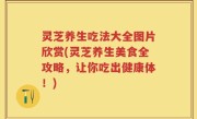 灵芝养生吃法大全图片欣赏(灵芝养生美食全攻略，让你吃出健康体！)