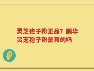 灵芝孢子粉正品？鹊华灵芝孢子粉是真的吗