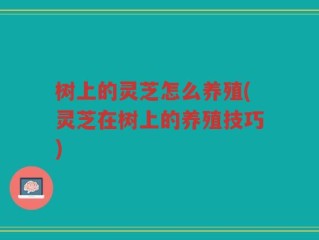 树上的灵芝怎么养殖(灵芝在树上的养殖技巧)
