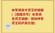 本草纲目中灵芝的插图(【插图改写】本草纲目灵芝插图：探秘神奇灵芝的药用价值)