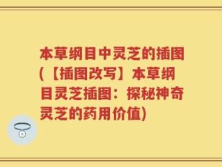 本草纲目中灵芝的插图(【插图改写】本草纲目灵芝插图：探秘神奇灵芝的药用价值)