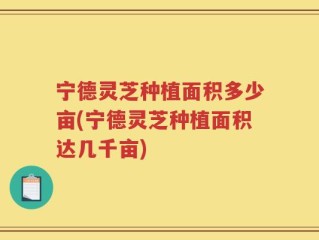 宁德灵芝种植面积多少亩(宁德灵芝种植面积达几千亩)