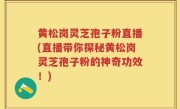 黄松岗灵芝孢子粉直播(直播带你探秘黄松岗灵芝孢子粉的神奇功效！)