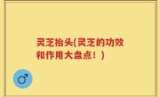 灵芝抬头(灵芝的功效和作用大盘点！)