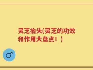 灵芝抬头(灵芝的功效和作用大盘点！)