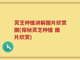 灵芝种植讲解图片欣赏图(探秘灵芝种植 图片欣赏)