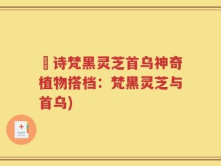 箤诗梵黑灵芝首乌神奇植物搭档：梵黑灵芝与首乌)