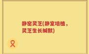 静窑灵芝(静室培植，灵芝生长缄默)