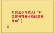 石灵芝小鸟依人(“石灵芝与可爱小鸟的亲密互动”)